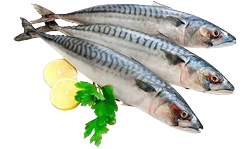 Fresh Mackrel Fish 500GM