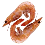 Prawns Big 500gm