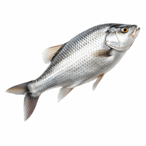 OceanBite Fish Fingers