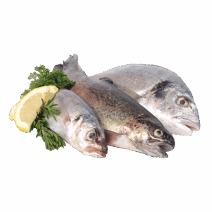 Fresh Mackrel Fish 500GM