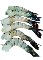 Tiger Prawns Large U20
