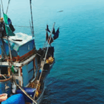 Top 5 Benefits of Sustainable Fish Farming
