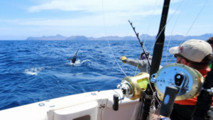 How to Market and Sell Seafood from Your Aquaculture Business