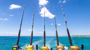 Harnessing Nature: Organic Practices in Aquaculture