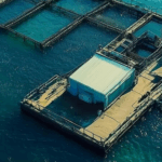 Top 5 Benefits of Sustainable Fish Farming