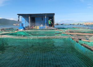 Harnessing Nature: Organic Practices in Aquaculture