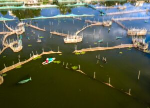 Why Aquaculture Is the Answer to Overfishing