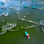 Water Quality Essentials: Keeping Your Fish Farm Healthy
