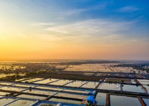 Adaptiong Aquaculture to a Changing Climate