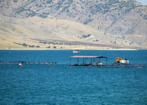 How Climate Change Is Impacting Aquaculture