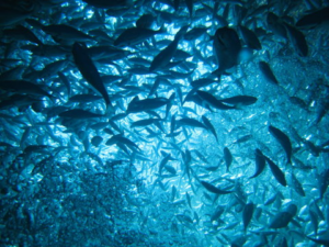 Behind the Progress: Teamwork, Technology & Water Stewardship
