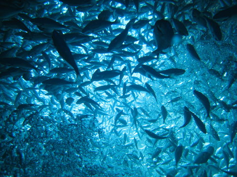 Behind the Progress: Teamwork, Technology & Water Stewardship