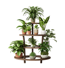 Decor Plants1
