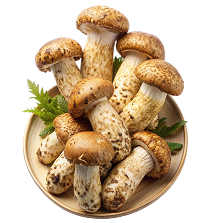 Mushrooms4