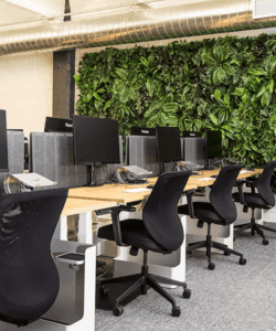 Office Furniture1